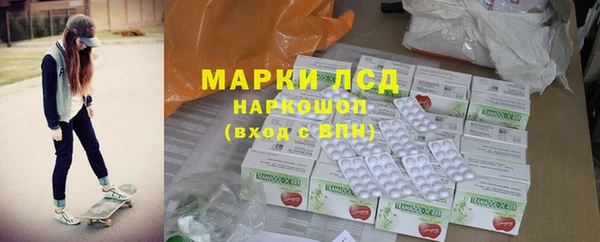 прущие грибы Абинск