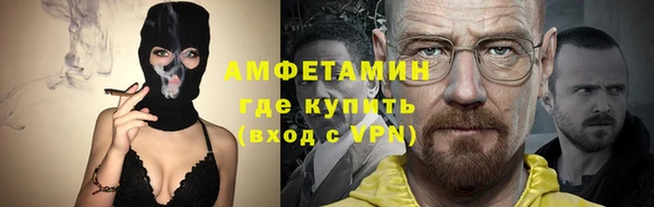 прущие грибы Абинск