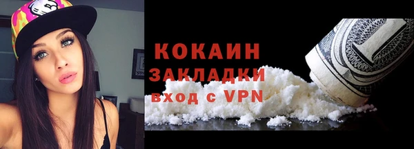 прущие грибы Абинск