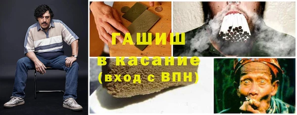 прущие грибы Абинск