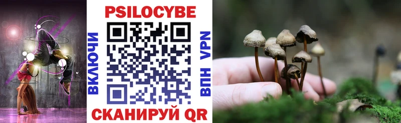 Псилоцибиновые грибы ЛСД где купить наркотик Домодедово